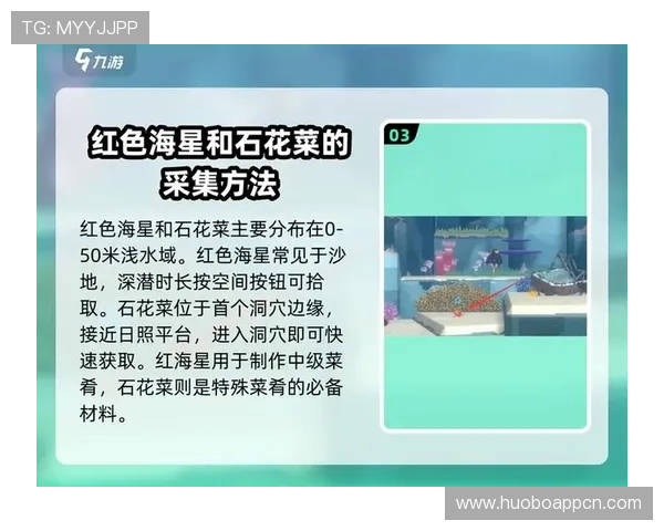 海星体育官网平台游戏攻略与技巧分享助你快速提升游戏水平赢取更多胜利